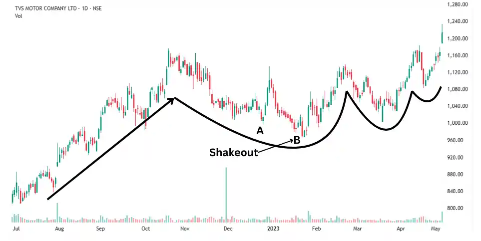 tvs motor